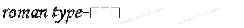 roman type字体转换